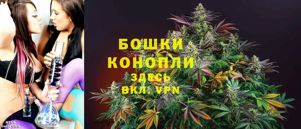 сатива Балабаново
